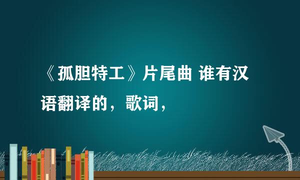 《孤胆特工》片尾曲 谁有汉语翻译的，歌词，