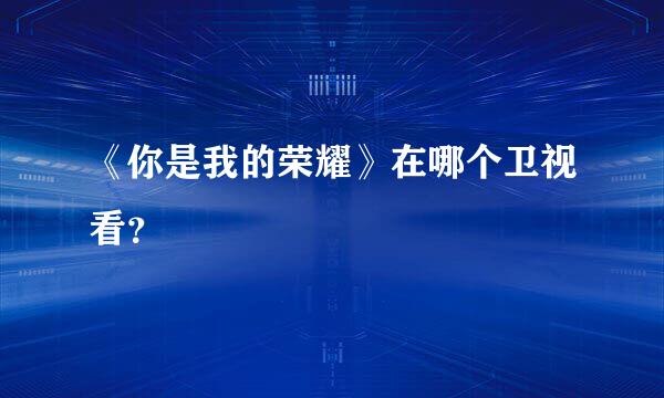 《你是我的荣耀》在哪个卫视看？