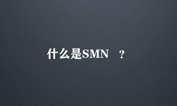 什么是SMN   ？