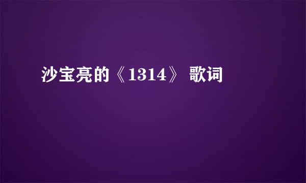 沙宝亮的《1314》 歌词