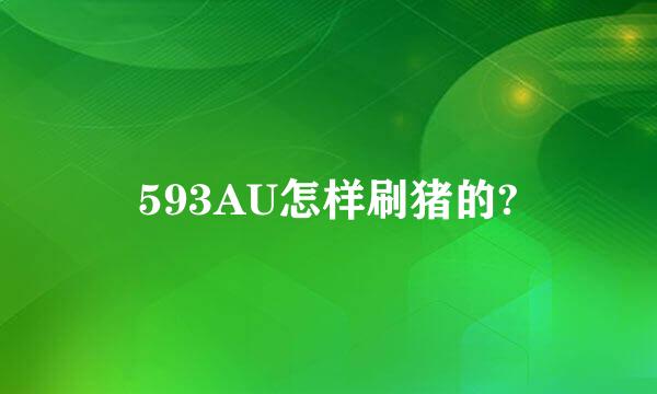 593AU怎样刷猪的?