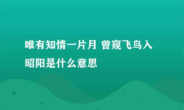 唯有知情一片月 曾窥飞鸟入昭阳是什么意思