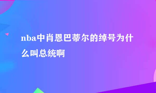 nba中肖恩巴蒂尔的绰号为什么叫总统啊