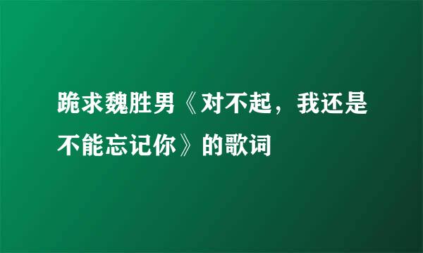 跪求魏胜男《对不起，我还是不能忘记你》的歌词