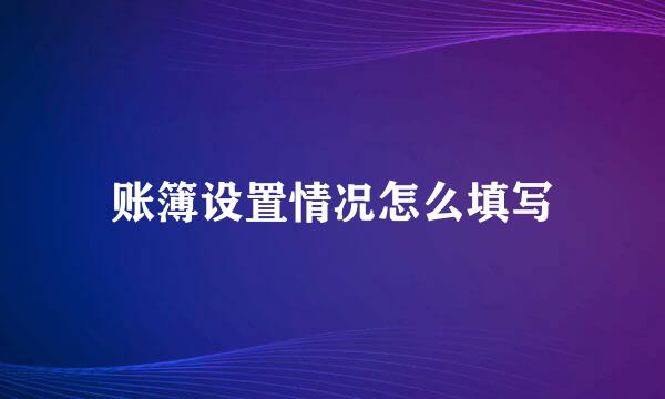 账簿设置情况怎么填写