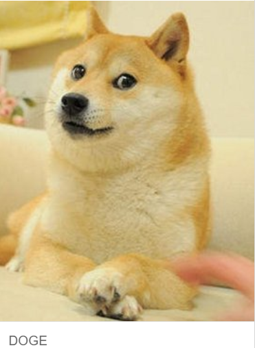 doge是什么意思？