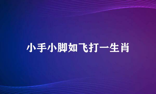 小手小脚如飞打一生肖