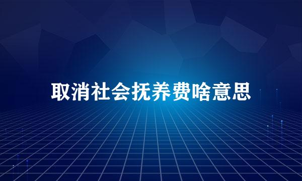 取消社会抚养费啥意思