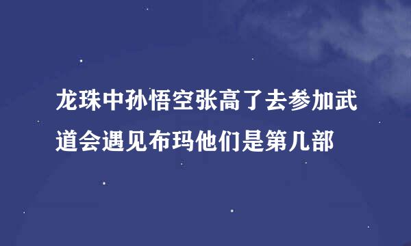 龙珠中孙悟空张高了去参加武道会遇见布玛他们是第几部