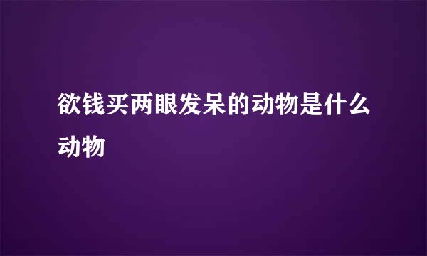 欲钱买两眼发呆的动物是什么动物