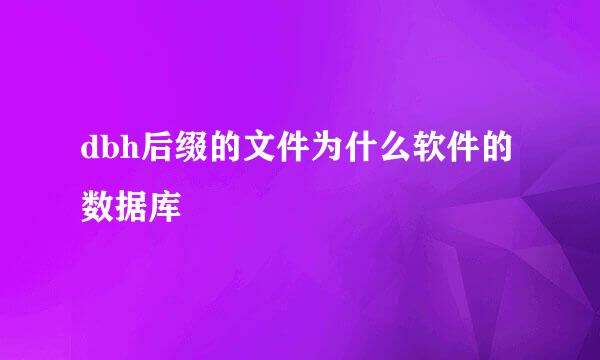 dbh后缀的文件为什么软件的数据库