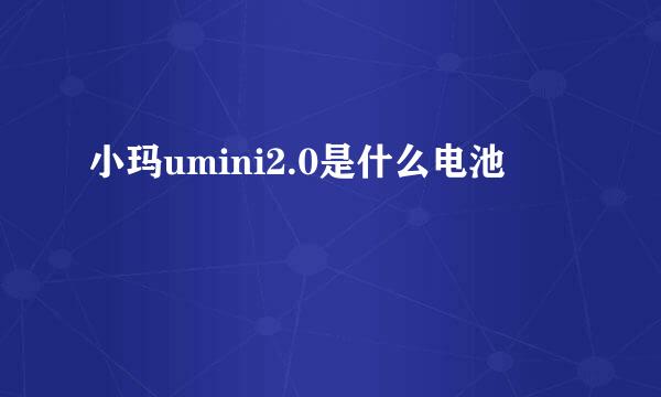 小玛umini2.0是什么电池