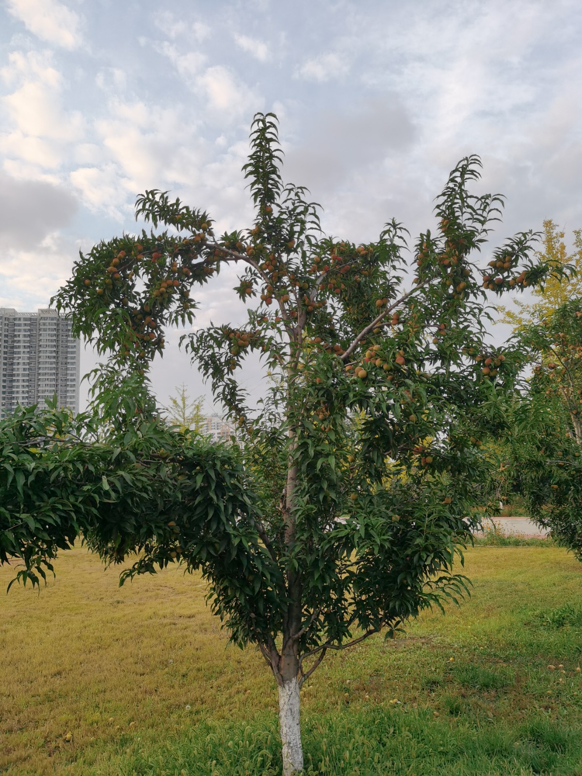 河北科技师范学院好不好