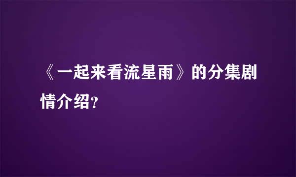 《一起来看流星雨》的分集剧情介绍？