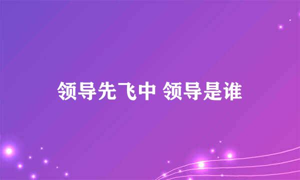 领导先飞中 领导是谁