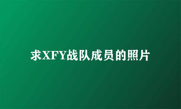 求XFY战队成员的照片