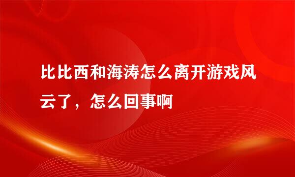 比比西和海涛怎么离开游戏风云了，怎么回事啊