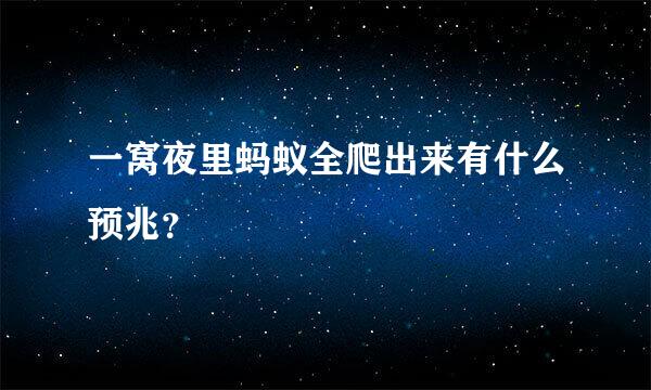 一窝夜里蚂蚁全爬出来有什么预兆？