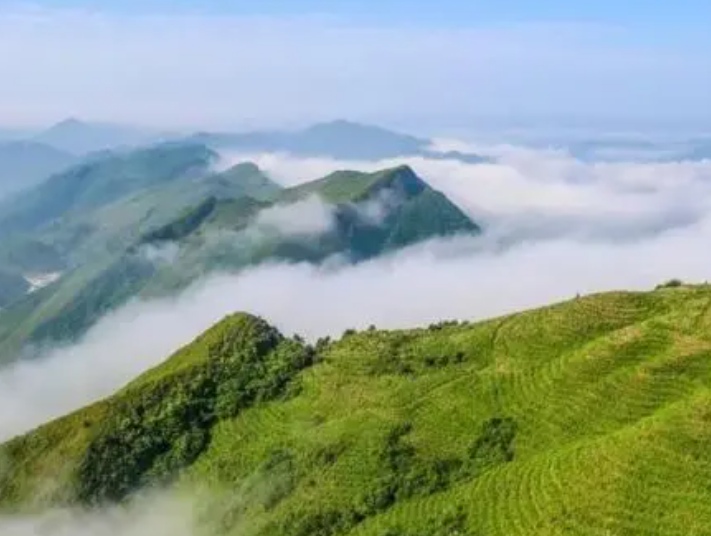 云雾山风景区在哪里