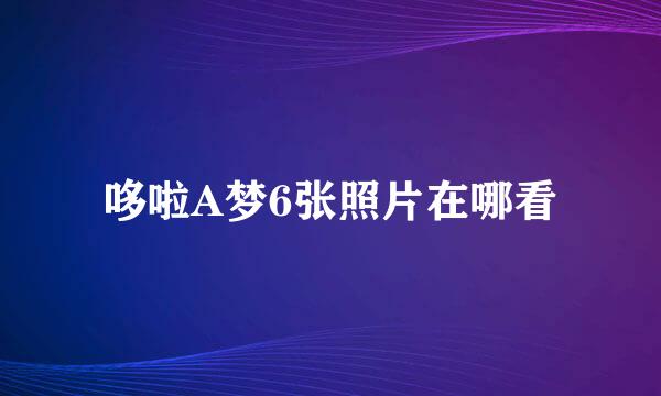 哆啦A梦6张照片在哪看