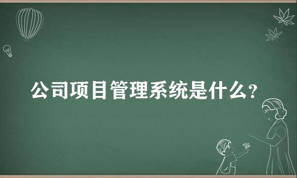 公司项目管理系统是什么？