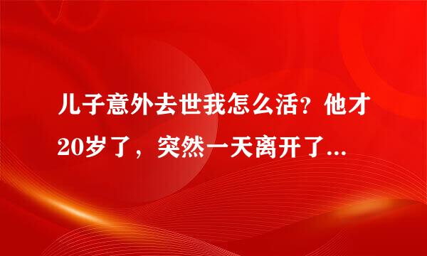 儿子意外去世我怎么活？他才20岁了，突然一天离开了我，我不知道该怎么活？没有救赎自己的办法？