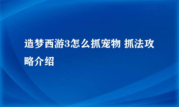 造梦西游3怎么抓宠物 抓法攻略介绍