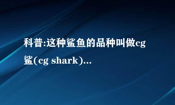 科普:这种鲨鱼的品种叫做cg鲨(cg shark)跟著名的hungryshark是近亲.体型小,