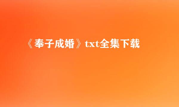 《奉子成婚》txt全集下载