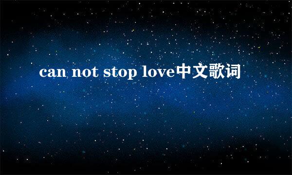 can not stop love中文歌词