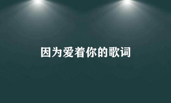 因为爱着你的歌词