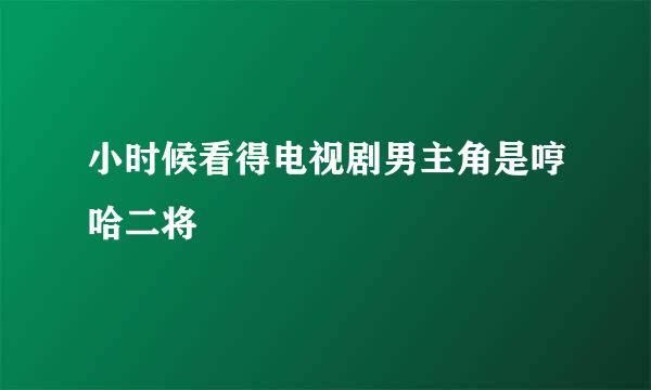 小时候看得电视剧男主角是哼哈二将