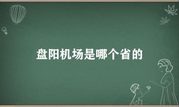 盘阳机场是哪个省的