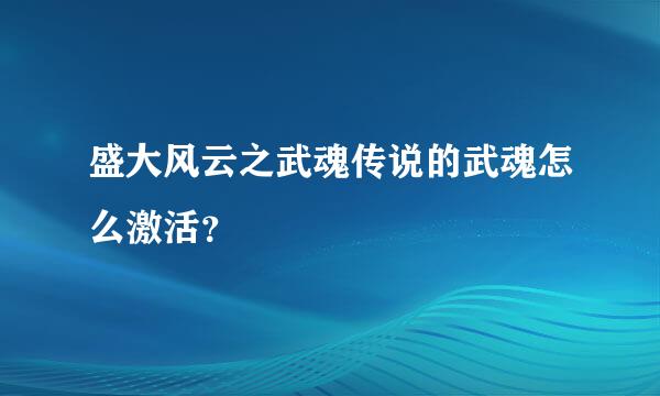 盛大风云之武魂传说的武魂怎么激活？