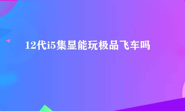 12代i5集显能玩极品飞车吗