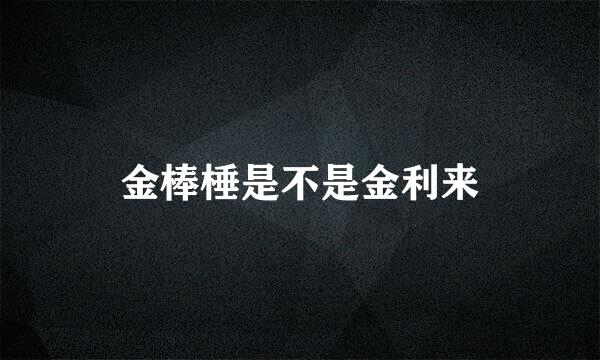 金棒棰是不是金利来