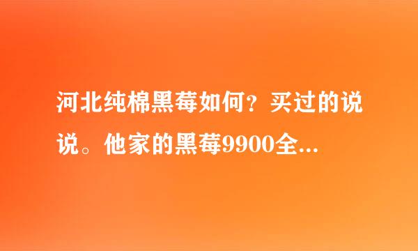 河北纯棉黑莓如何？买过的说说。他家的黑莓9900全新的1880