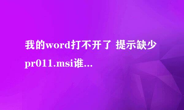 我的word打不开了 提示缺少pr011.msi谁有2003的安装包下载