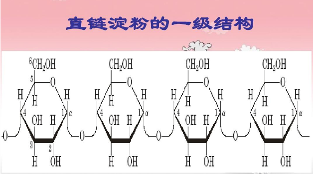 直链淀粉和支链淀粉功能上的区别