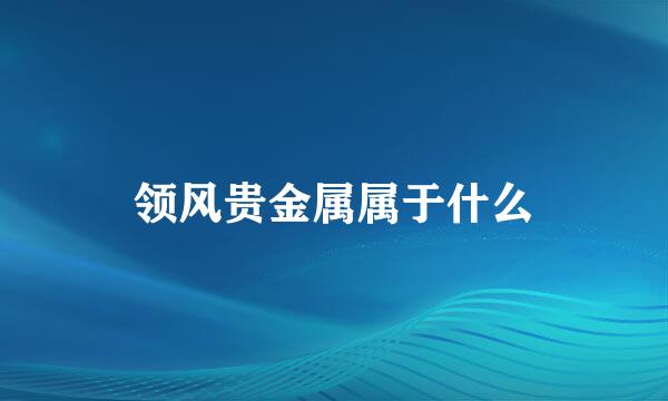 领风贵金属属于什么