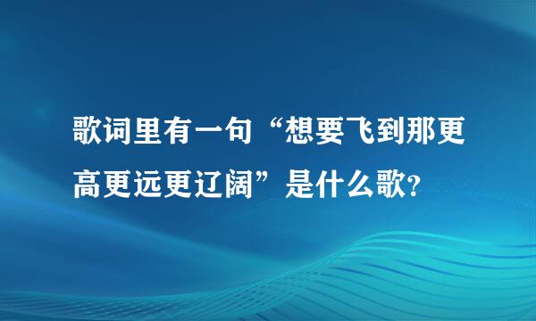 歌词里有一句“想要飞到那更高更远更辽阔”是什么歌？