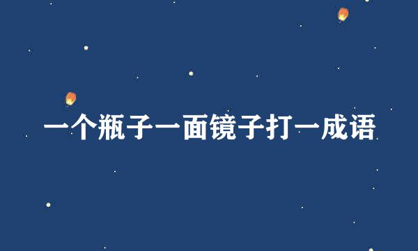 一个瓶子一面镜子打一成语