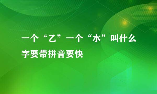 一个“乙”一个“水”叫什么字要带拼音要快