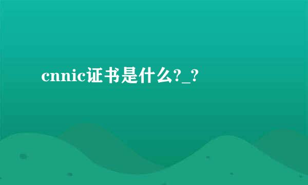 cnnic证书是什么?_?