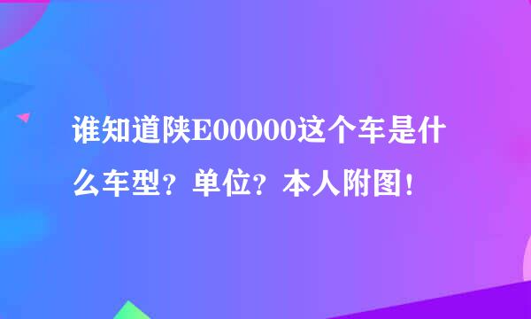 谁知道陕E00000这个车是什么车型？单位？本人附图！