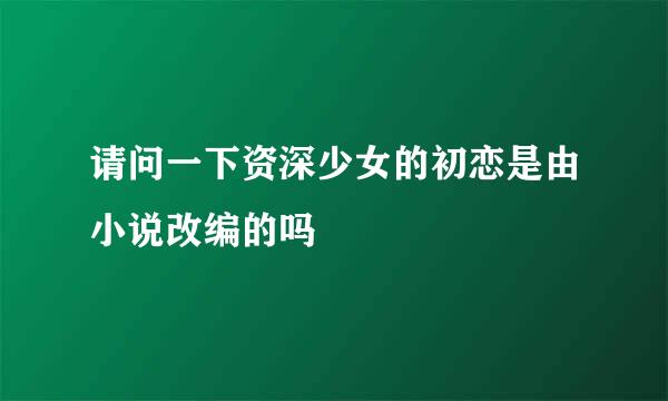 请问一下资深少女的初恋是由小说改编的吗