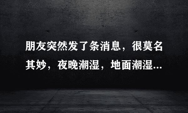 朋友突然发了条消息，很莫名其妙，夜晚潮湿，地面潮湿，空气寂静，树林沉默是什么意思？