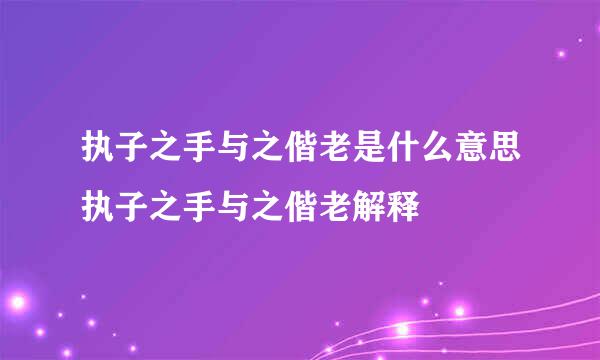 执子之手与之偕老是什么意思执子之手与之偕老解释