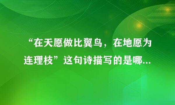 “在天愿做比翼鸟，在地愿为连理枝”这句诗描写的是哪两个人的爱情故事？