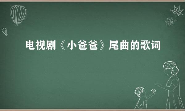 电视剧《小爸爸》尾曲的歌词